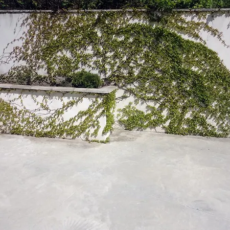 Guest Casa Luba * Sveti Vlas