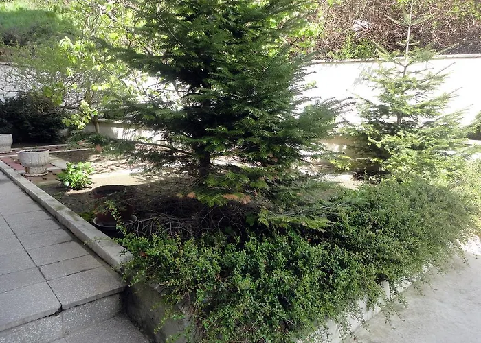 Appartamento Guest Casa Luba *