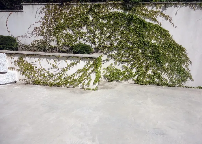 Guest Casa Luba * Sveti Vlas