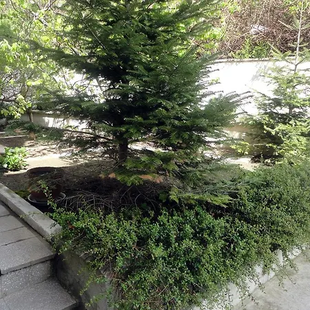 Daire Guest Casa Luba *